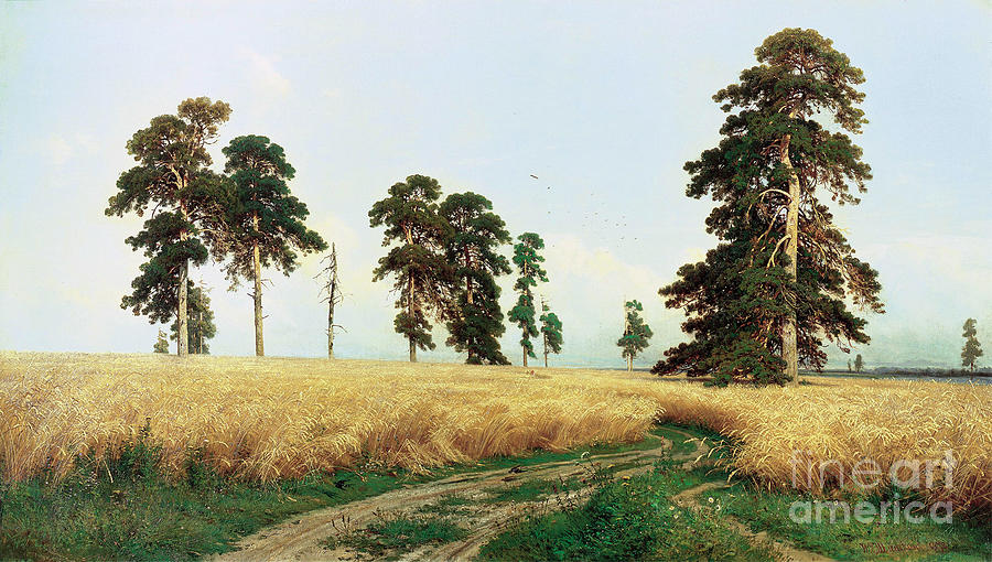 Rye Field, 1878. Artist Ivan Shishkin Drawing by Heritage Images