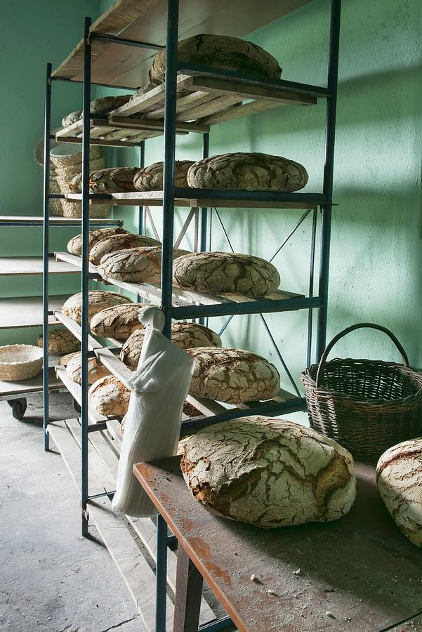 Rye Loaves On Shelves In A Bakery Photograph by Edyta Girgiel