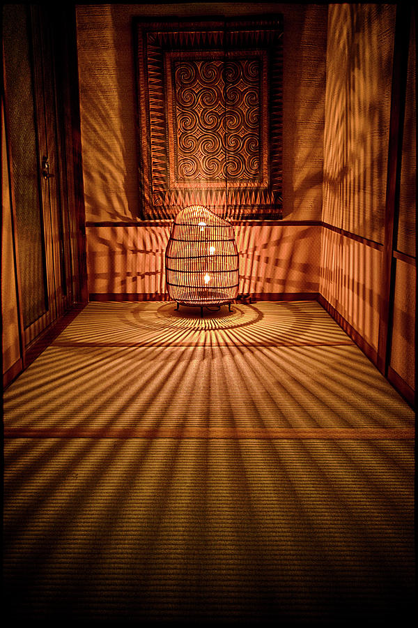 Ryokan Hakone Ginyu, corridor Photograph by Andrei SKY