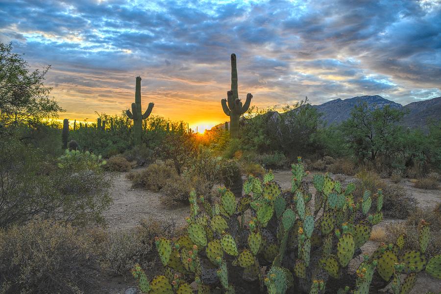 Sabino Canyon and Mount Kimball Sunset, Tucson, AZ Photograph by Chance Kafka