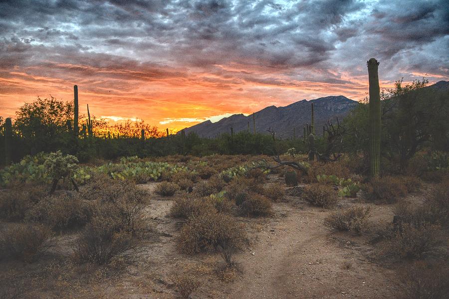 Sabino Canyon Sunset, Tucson, AZ Photograph by Chance Kafka