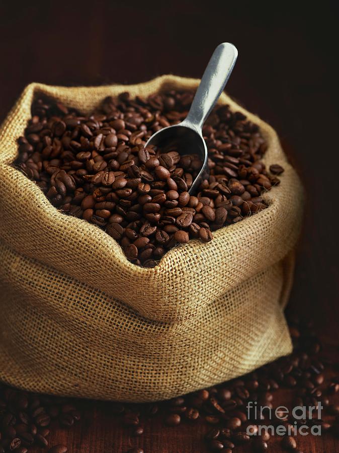 Sack Full Of Coffee Beans by Science Photo Library