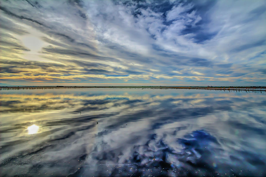 Sacramento Delta Photograph by Soroush Mostafanejad - Fine Art America