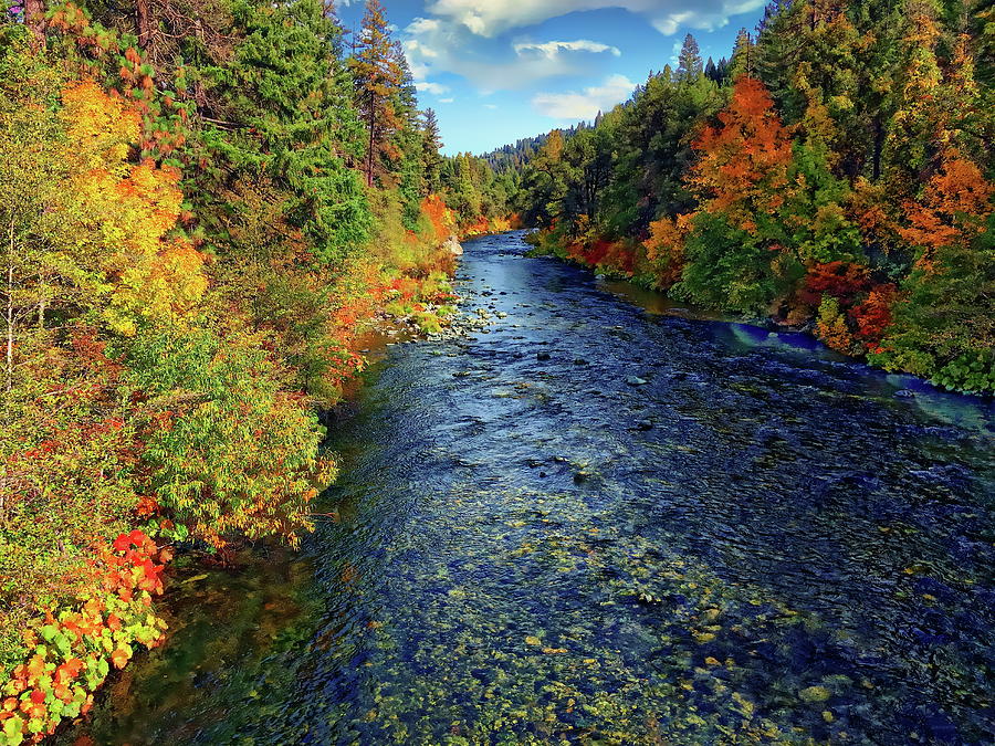Sacramento River Autumn by Anthony Dezenzio Sacramento River Autumn by Anthony Dezenzio