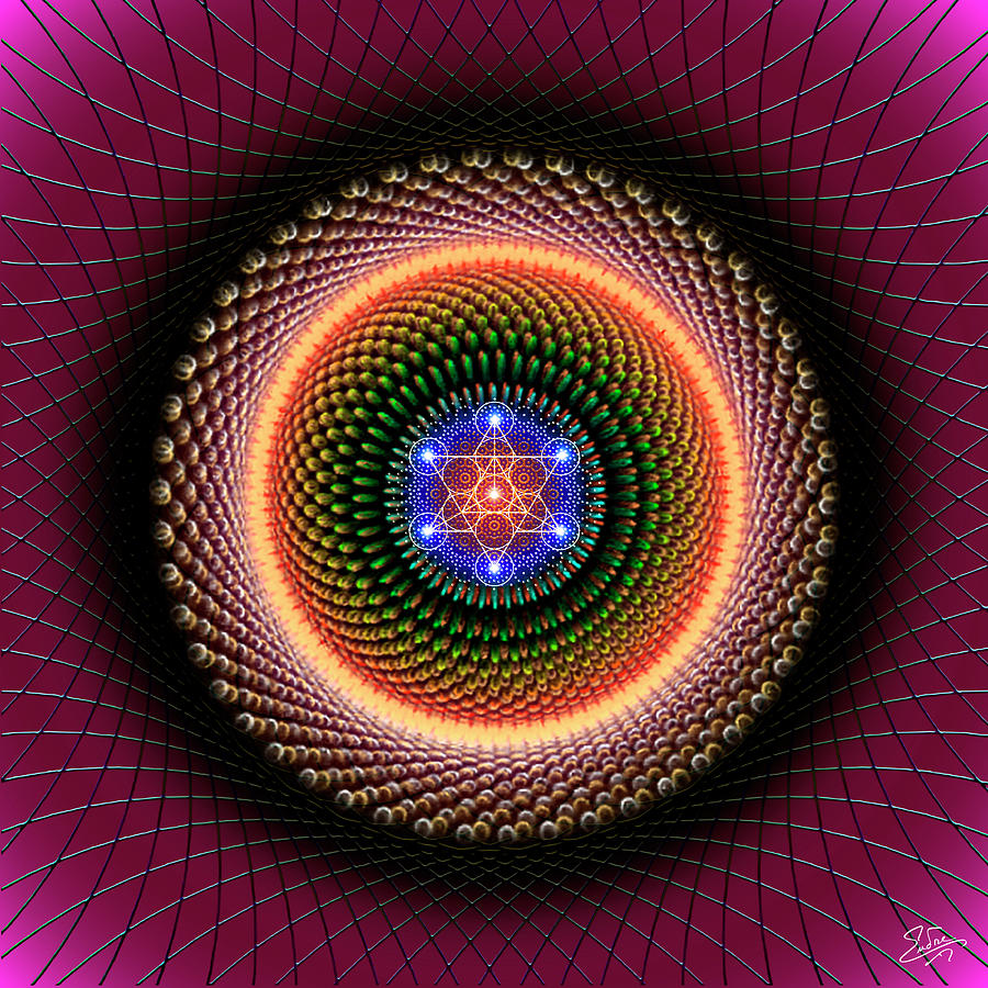 Sacred Geometry 737 Digital Art by Endre Balogh