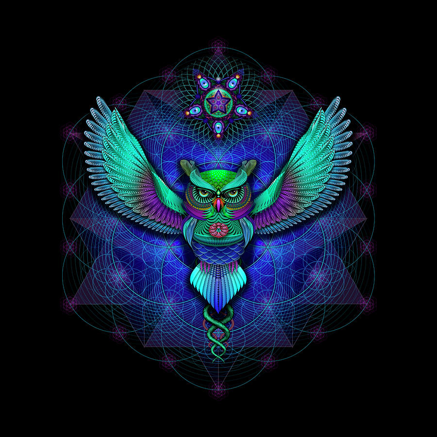 Bird Painting - Sacred Geometry Owl by Mushroom Dreams Visionary Art