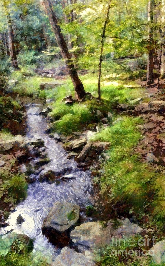 Sacred Places Forest Stream  Photograph by Janine Riley