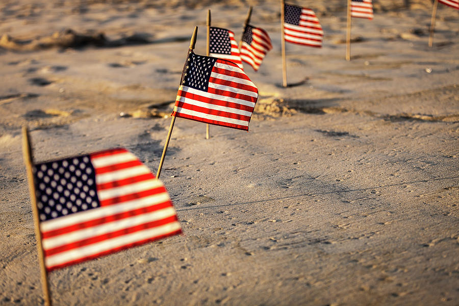 Sacrifice Photograph by Matthew Thwing - Fine Art America