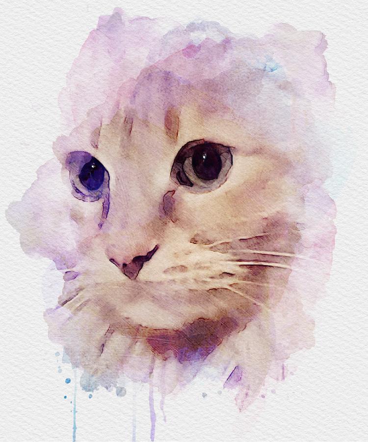 Sad Cat Digital Art by Jessica McCoy - Fine Art America