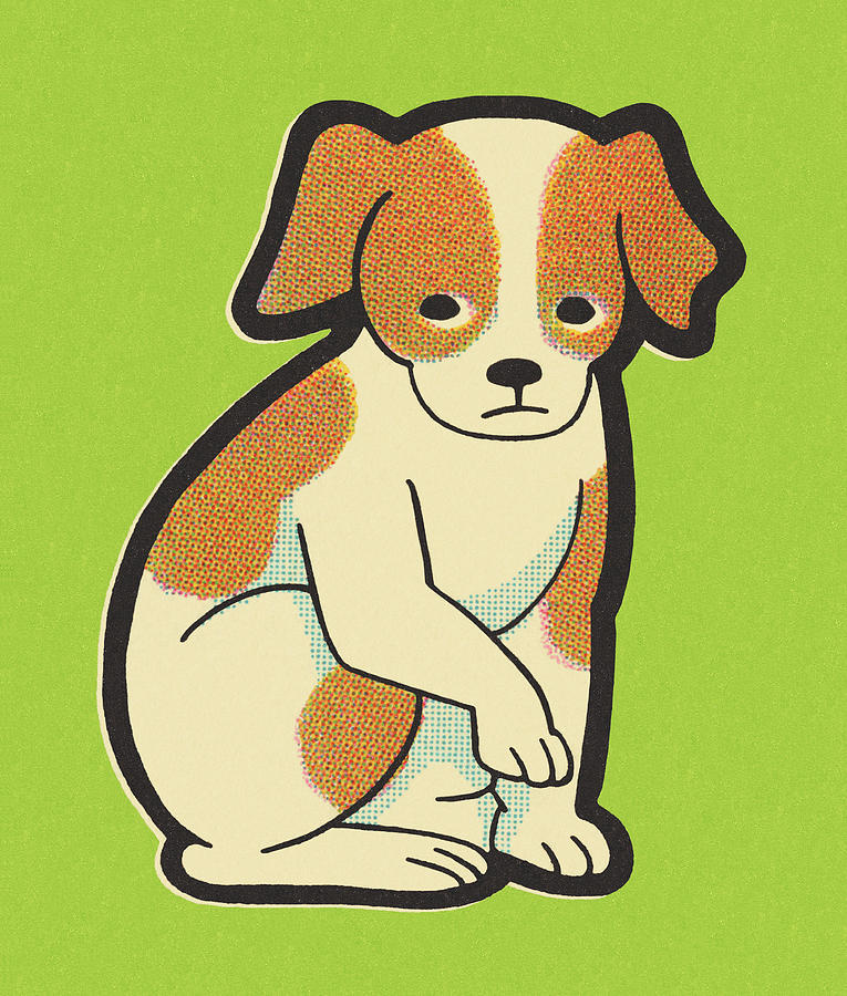 Vintage Drawing - Sad Dog by CSA Images