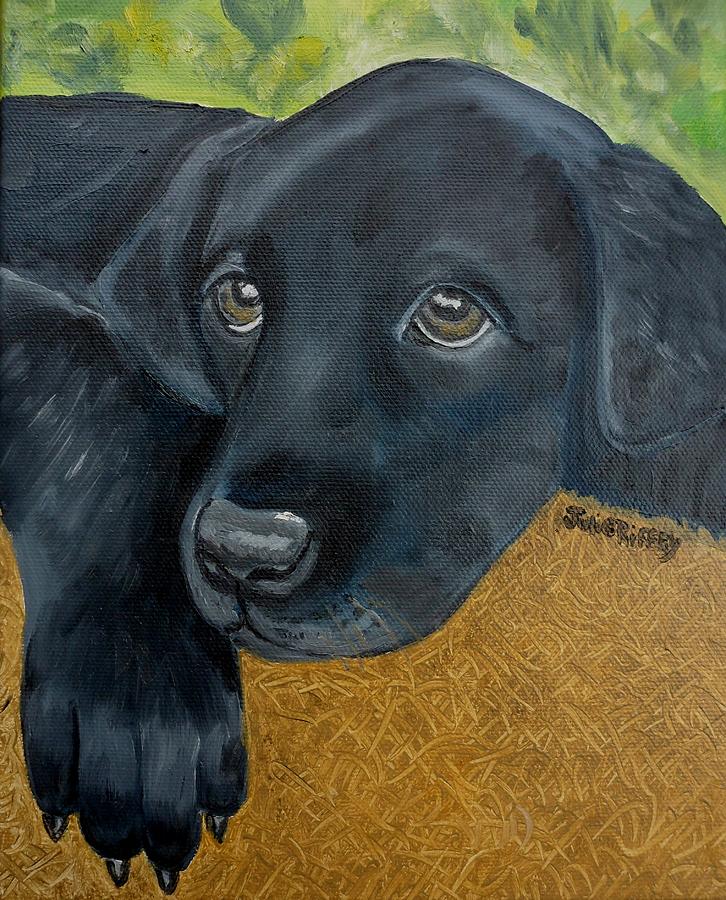 Sad Eyes - Black Lab Puppy Dog Painting by Julie Brugh Riffey