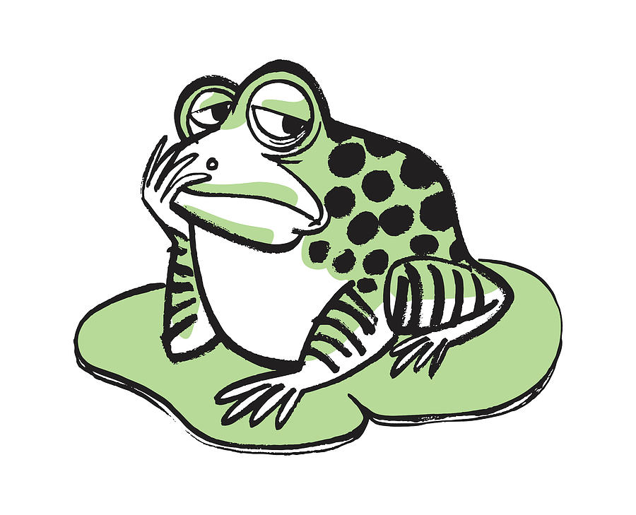 Vintage Drawing - Sad Frog by CSA Images