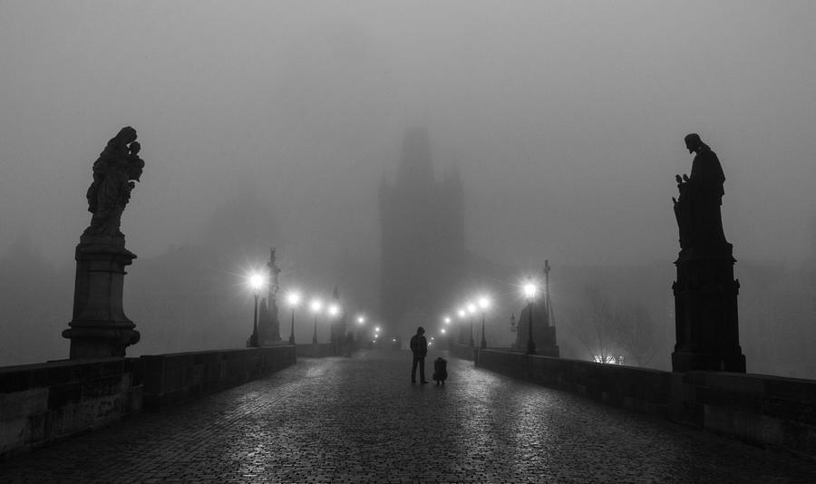 Sad Morning Photograph By Angela Muliani Hartojo