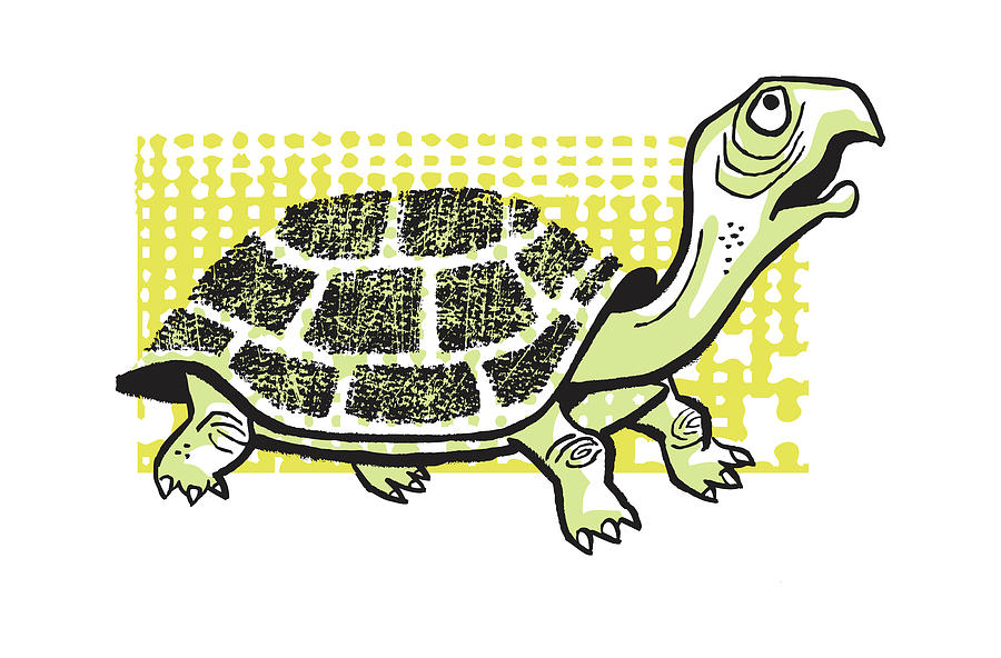 Turtle Drawing - Sad Turtle Looking Up by CSA Images