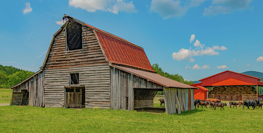 Saddle Barn of Rural Georgia Photograph by Marcy Wielfaert