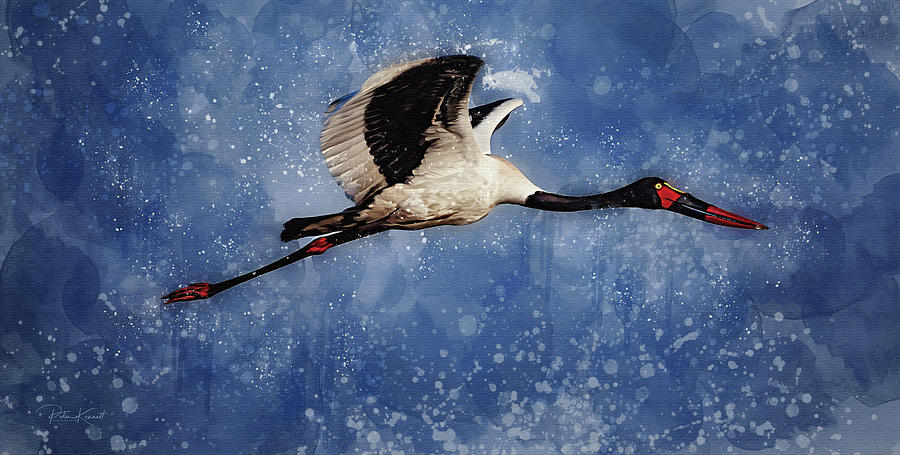 Saddle Billed Stork Digital Art by Peter Kennett