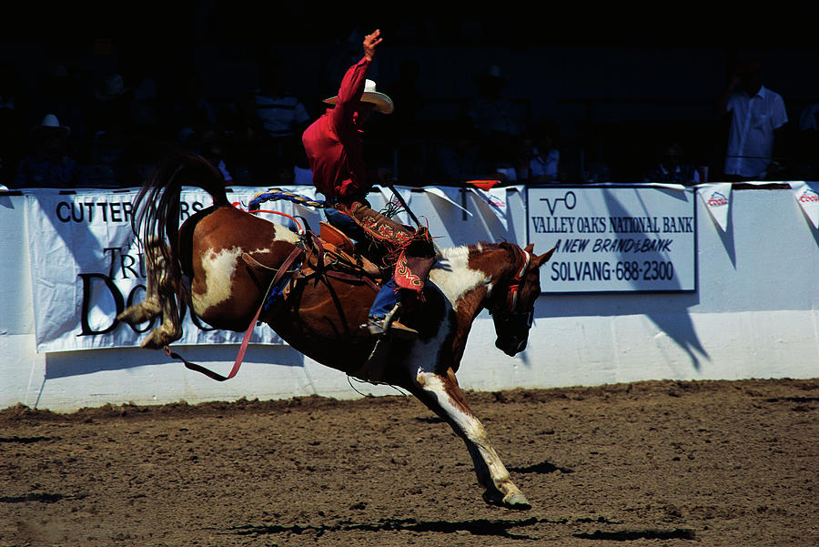 Saddle Bronc Rider Photograph by Panoramic Images
