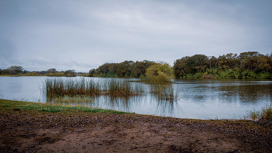 Saddle Creek Park by Rick Cooper Saddle Creek Park by Rick Cooper