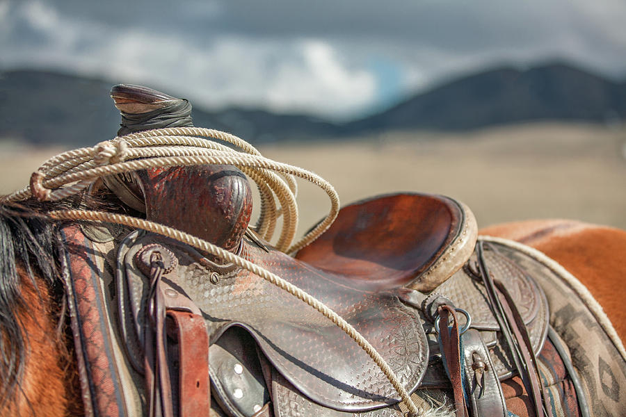 Saddle Top Photograph by Todd Klassy