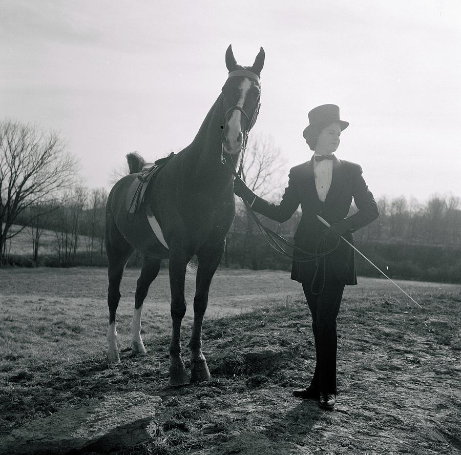 Saddlebred Horse Photograph by Francis Miller