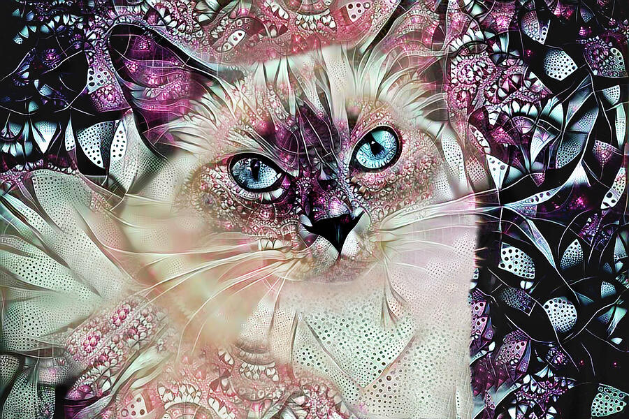 Sadie the Ragdoll Cat Digital Art by Peggy Collins
