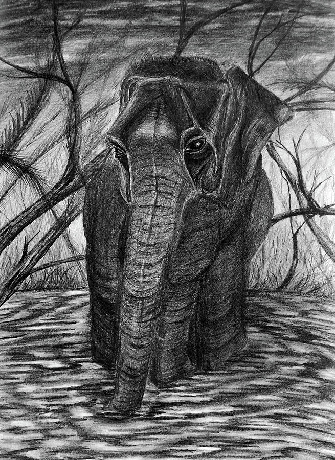 Sadness In The Jungle Drawing by Medea Ioseliani