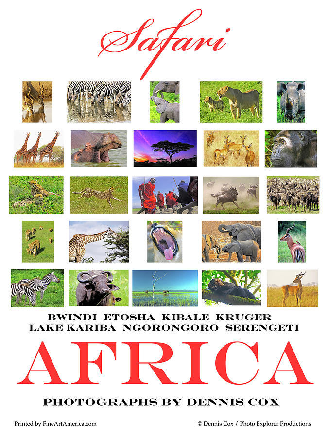 Safari Africa Travel Poster Photograph by Dennis Cox