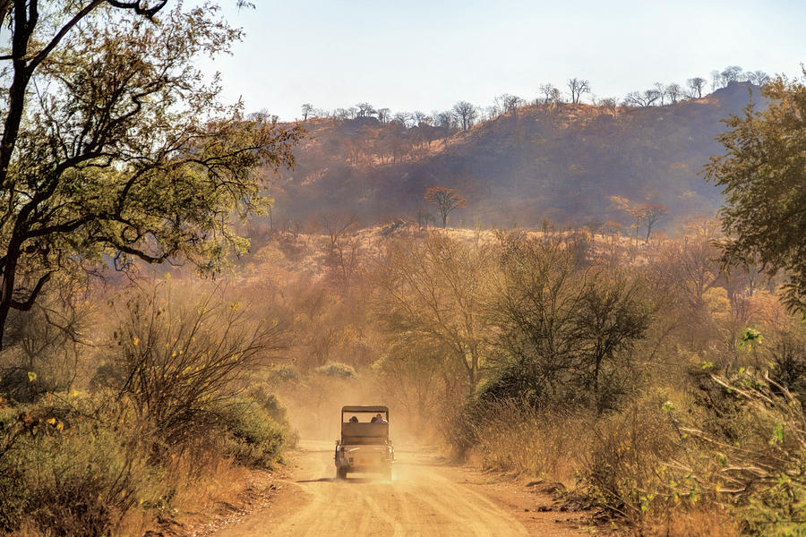 Safari Drive Photograph by Betty Eich