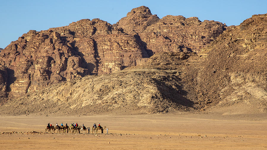Safari In The Desert. Photograph by Zhd Bilgin