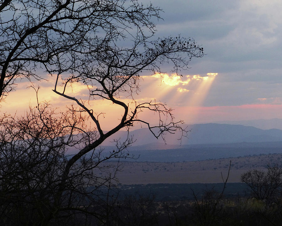 Safari Sunset Photograph by Carl Sheffer