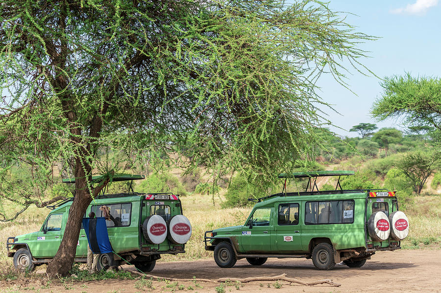 Safari Vehicles Photograph by Betty Eich
