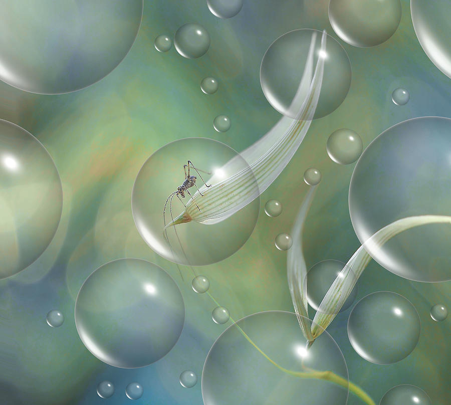 Nature Photograph - Safe In His Bubble... by Thierry Dufour
