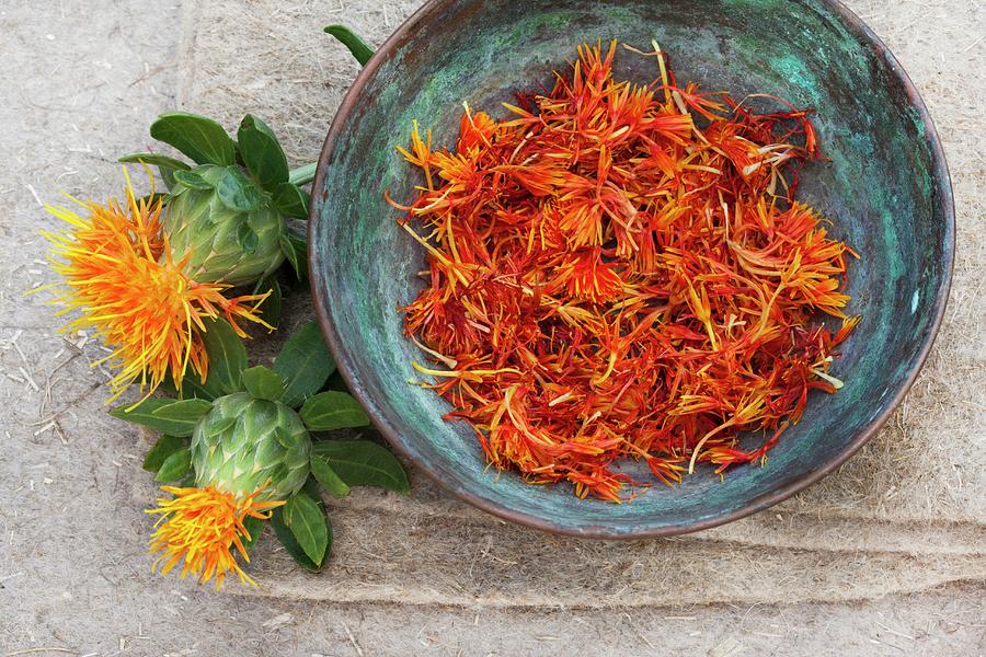 Safflower: Fresh Flowers And Plucked, Dried Petals In A Metal Bowl Photograph by Sabine Lscher