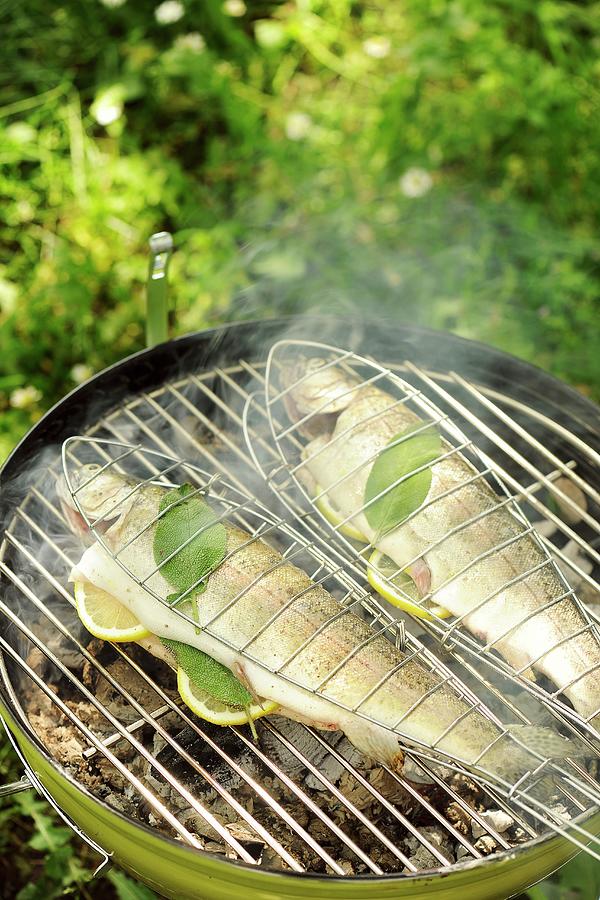 Sage Trout On A Barbecue Photograph by Antje Plewinski