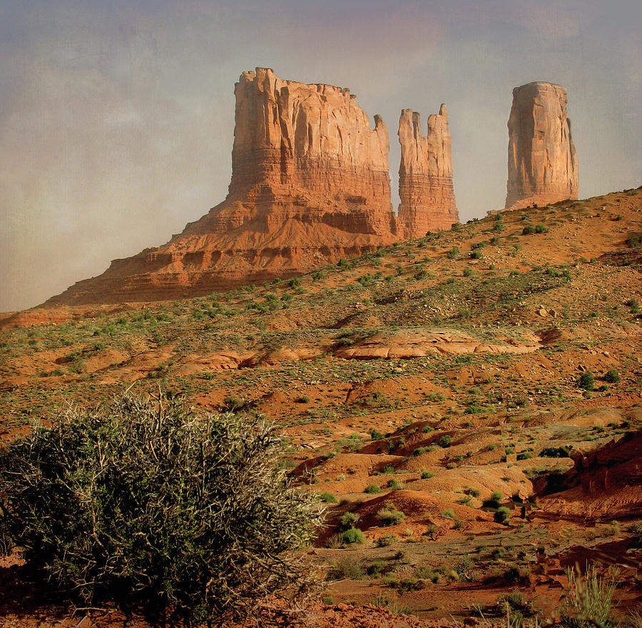 Sagebrush In Monument Valley Photograph by Raw Light Photography