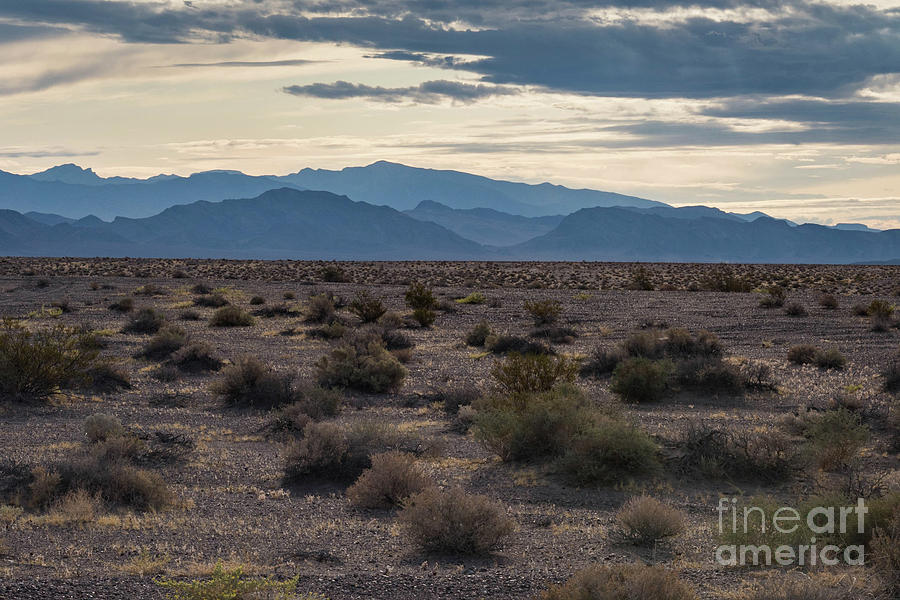 Sagebrush Morning by Jeffrey Hubbard Sagebrush Morning by Jeffrey Hubbard