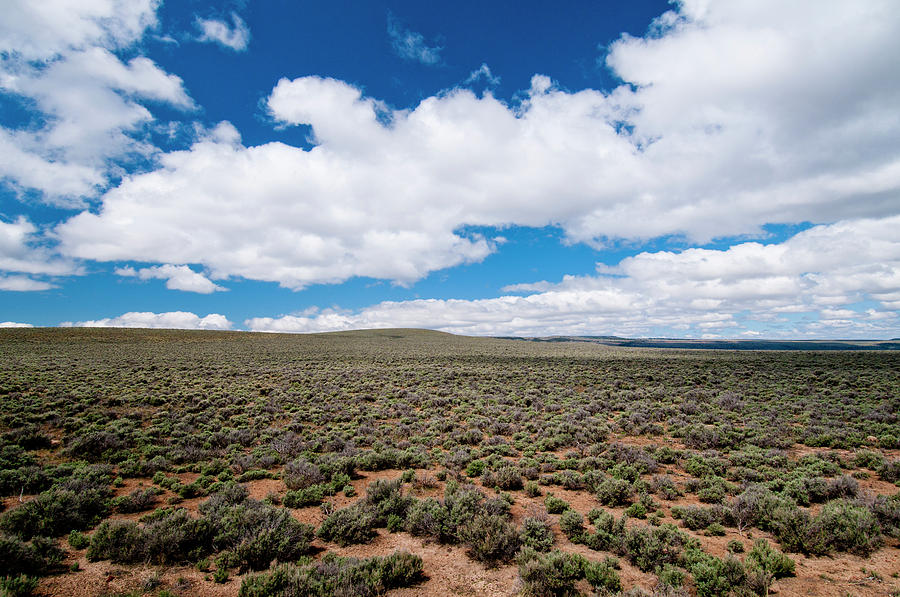 Sagebrush Sea In Harney County, Se Photograph by William Mullins