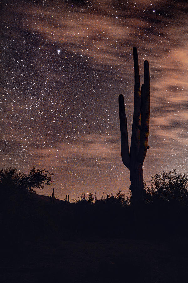 Saguaro Cactus and Stars Photograph by Chance Kafka