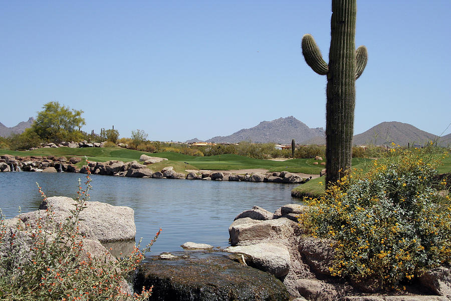 Saguaro Cactus At Golf Course Photograph by Markanja