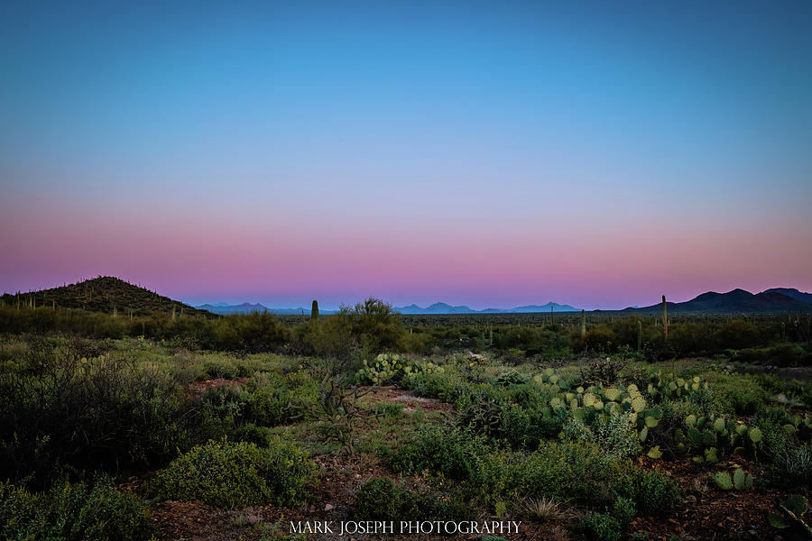 Saguaro Desert Sunrise Photograph by Mark Joseph