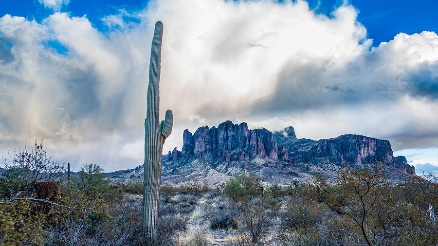 Landscape Photograph - Saguaro, Mountain, Cloud by Kevin Xu