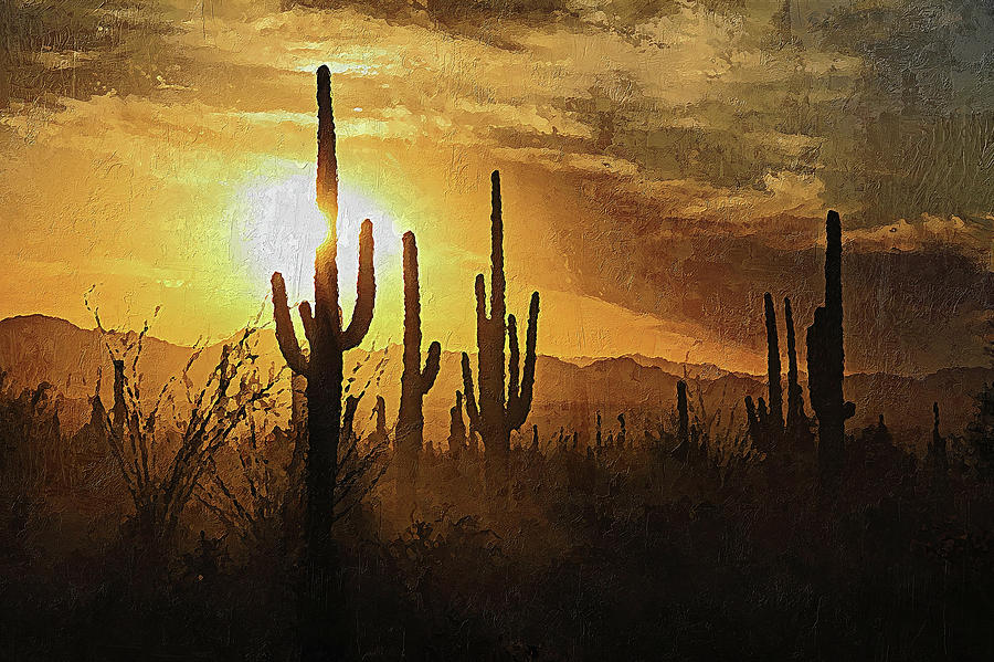 Saguaro National Park at sunset - 07 Painting by AM FineArtPrints ...