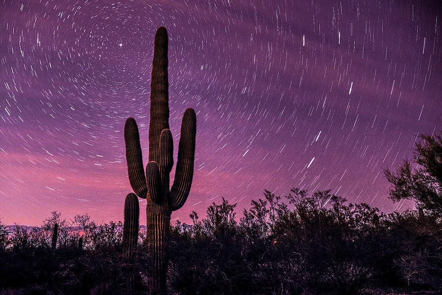 Saguaro National Park Star Trails Photograph by Chance Kafka