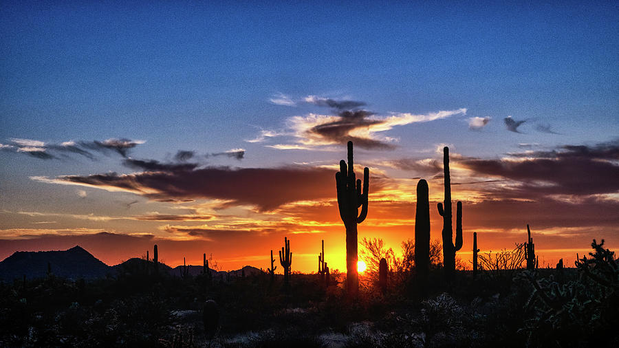 Sunset Photograph - Saguaro Silhouette Sunset 101 by Saija Lehtonen