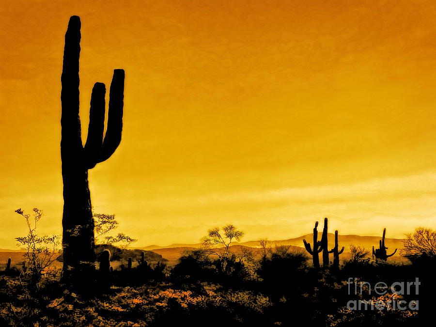 Saguaro Sunset Digital Art by Tim Richards