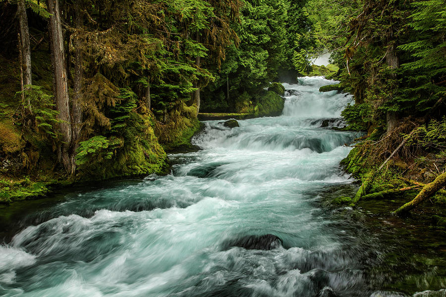 Sahale Falls In Central Oregon Photograph by Bob Pool