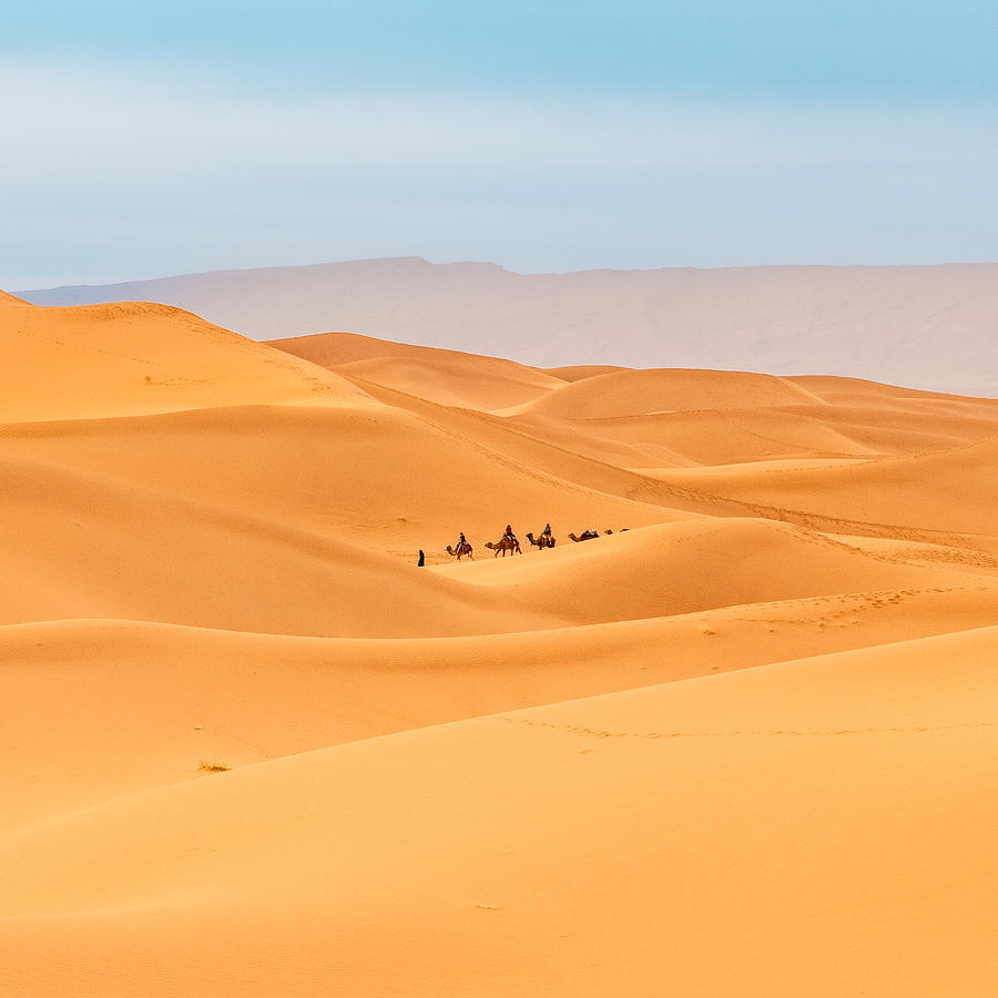 Sahara Photograph by Armands Brants - Fine Art America