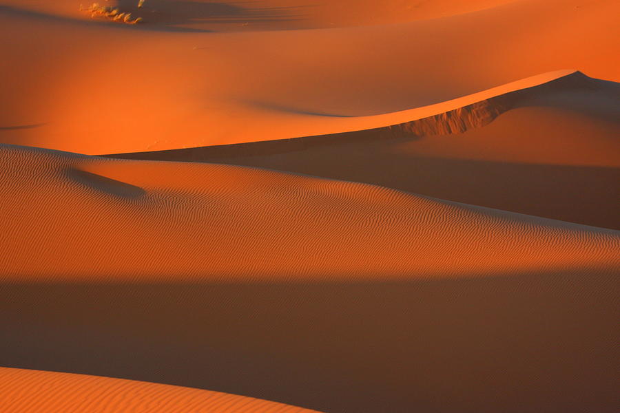 Sahara Desert Photograph by E.hanazaki Photography
