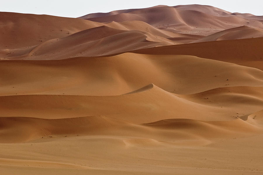 Sahara Desert Photograph by Giampaolo Cianella