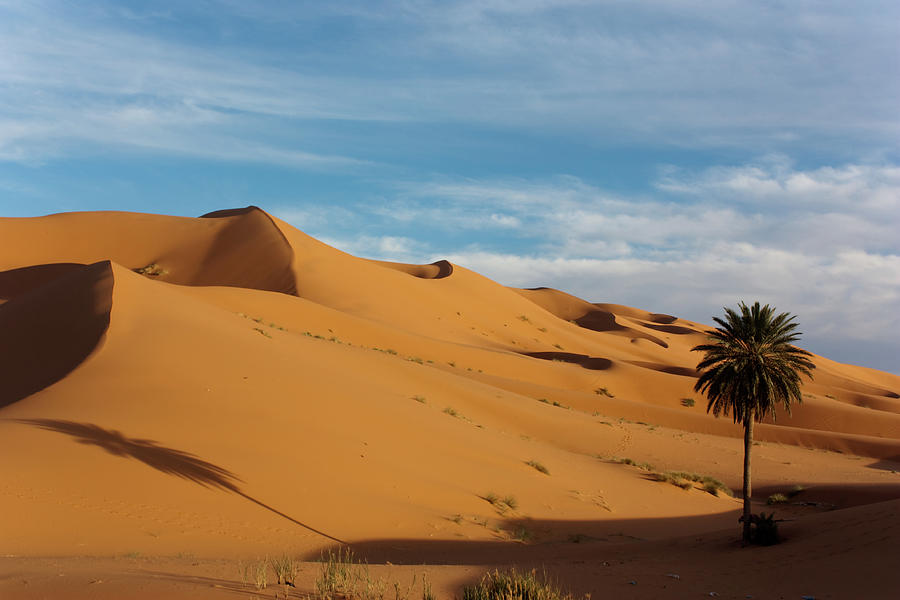 Sahara Desert Photograph by Nate Gautsche